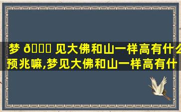 梦 🐒 见大佛和山一样高有什么预兆嘛,梦见大佛和山一样高有什么预兆嘛周公解 🍀 梦